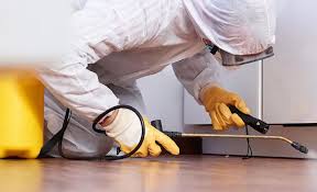 Best Real Estate Pest Inspections  in Cheviot, OH